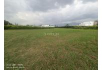 Lotes, Venta, Palmira - $550.000.000