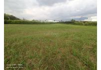 Lotes, Venta, Palmira - $550.000.000