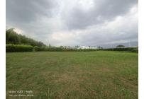 Lotes, Venta, Palmira - $550.000.000