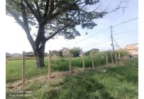 Lotes, Venta, Palmira - $1.800.000.000