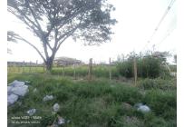 Lotes, Venta, Palmira - $1.800.000.000