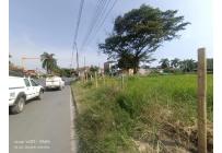 Lotes, Venta, Palmira - $1.800.000.000