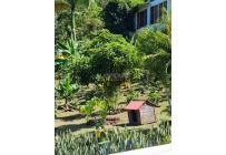 Casas, Venta, Aguacatal - $890.000.000