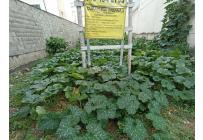 Lotes, Venta, La Flora - $550.000.000