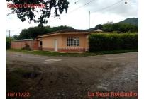 Fincas y Casas Campestres, Venta, Roldanillo - $620.000.000