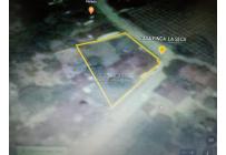 Fincas y Casas Campestres, Venta, Roldanillo - $620.000.000