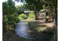 Fincas y Casas Campestres, Venta, Palmira - $1.500.000.000