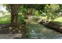 Fincas y Casas Campestres, Venta, Palmira - $1.500.000.000