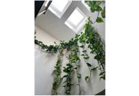 Apartamentos, Venta, Santa Teresita - $850.000.000