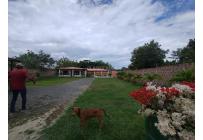 Casas, Venta, Palmira - $800.000.000