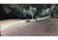 Lotes, Alquiler, La Buitrera - $14.000.000