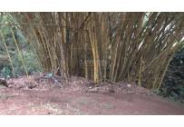 Lotes, Alquiler, La Buitrera - $14.000.000