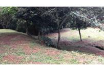 Lotes, Alquiler, La Buitrera - $14.000.000