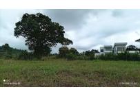 Lotes, Venta, Pance - $990.000.000