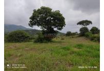 Lotes, Venta, Pance - $990.000.000