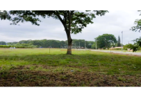 Lotes, Venta, Palmira - $345.000.000