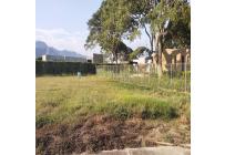 Lotes, Venta, Palmira - $345.000.000