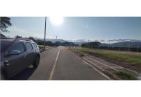 Lotes, Venta, Palmira - $345.000.000