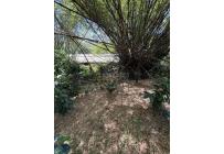 Casas, Alquiler, Floridablanca - $2.500.000