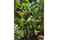 Casas, Alquiler, Floridablanca - $2.500.000