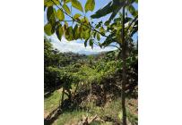 Casas, Alquiler, Floridablanca - $2.500.000