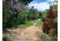 Lotes, Venta, Floridablanca - $22.500.000.000