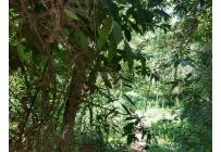 Lotes, Venta, Floridablanca - $22.500.000.000