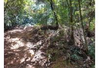 Lotes, Venta, Floridablanca - $22.500.000.000