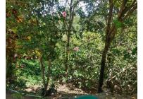 Lotes, Venta, Floridablanca - $22.500.000.000