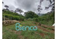 Lotes, Venta, Floridablanca - $470.000.000