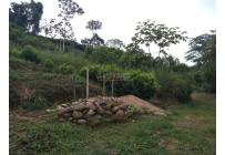 Lotes, Venta, Floridablanca - $470.000.000