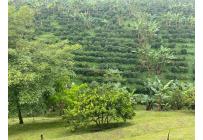 Casas, Venta, Pereira - $1.450.000.000