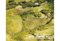 Lotes, Venta, Calima (Darién) - $350.000.000