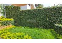 Casas, Venta, La Buitrera - $750.000.000