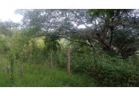 Lotes, Venta, Cascajal - $375.000.000