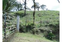 Lotes, Venta, Dagua - $805.000.000