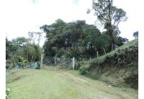 Lotes, Venta, Dagua - $805.000.000