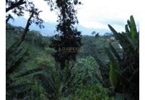 Lotes, Venta, Dagua - $805.000.000