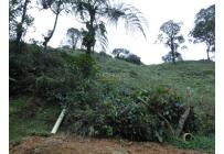 Lotes, Venta, Dagua - $805.000.000