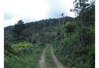 Lotes, Venta, Dagua - $805.000.000