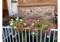 Casas, Venta, Cartagena - $4.500.000.000