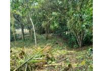 Lotes, Venta, Pance - $2.400.000.000