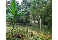 Lotes, Venta, Pance - $2.400.000.000