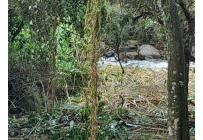 Lotes, Venta, Pance - $2.400.000.000