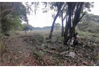 Lotes, Venta, Pance - $2.400.000.000