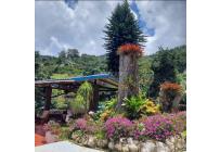 Fincas y Casas Campestres, Venta, Dagua - $1.500.000.000