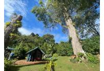 Fincas y Casas Campestres, Venta, Dagua - $1.500.000.000