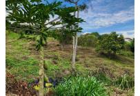 Lotes, Venta, Yumbo - $450.000.000