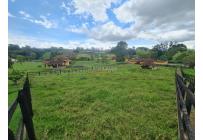 Fincas y Casas Campestres, Venta, Dagua - $3.200.000.000