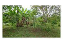 Fincas y Casas Campestres, Venta, La Cumbre - $270.000.000